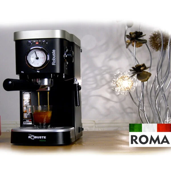 Machine à café a Bras inox 15 bar 1100W 1.2L Café Poudre Robuste Roma